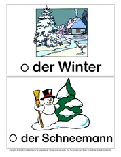 Bild-Wort-Karten-Winter.pdf